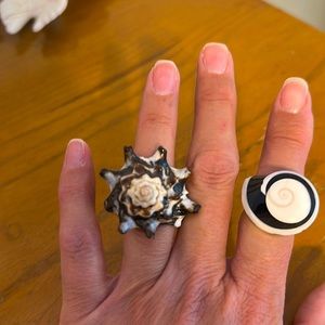Beautiful hand, carved seashell rings from the island of Oahu Hawaii🌺🌴
